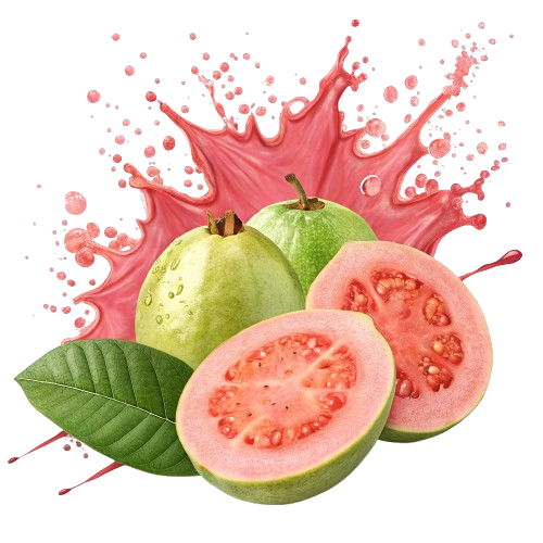 Alphonso Mango